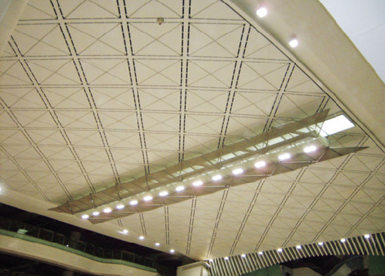 O teto suspendido artístico do ornamento telha a cor de madeira para centros comerciais