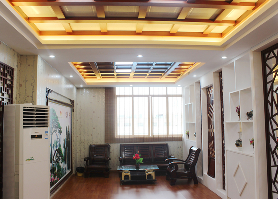 Telhas artísticas especiais do teto de Arabesquitic para o ornamento da casa, SONCAP